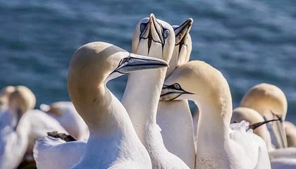 证据链补全:分析吃瓜爆料——别用网暴替代真相|谨慎转发