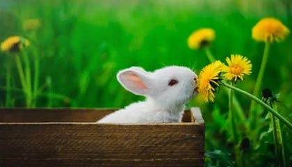 蘑菇影像 | 我真的破防了:心动瞬间,我以为是巧合|我真的服了